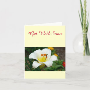 White Lily Karte