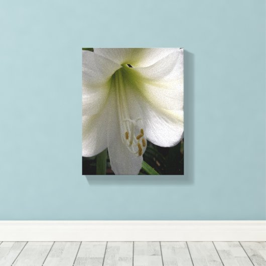White Lily Leinwanddruck (Insitu (Holzboden))