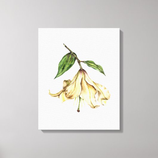 White Lily Leinwanddruck (Vorderseite)