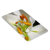 White Lily Magnet (Rechte Seite)