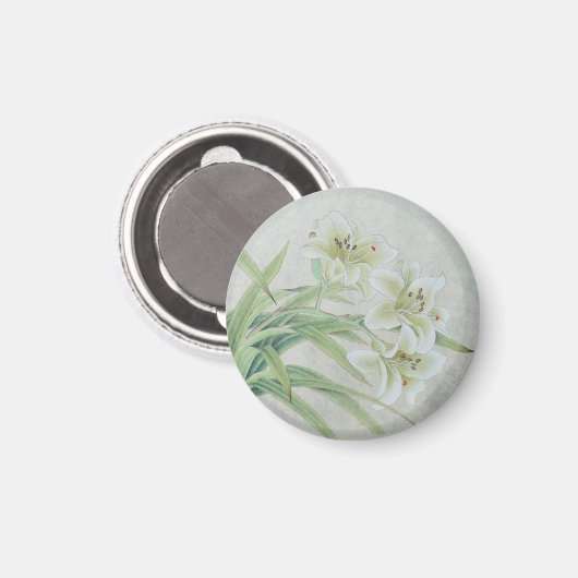 White Lily Magnet (Vorderseite/Rückseite)