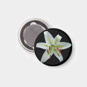 White Lily Magnet (Vorderseite/Rückseite)