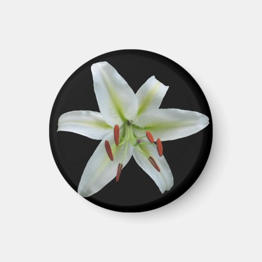 White Lily Magnet (Vorne)
