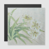 White Lily Magnetkarte (Vorne/Hinten)
