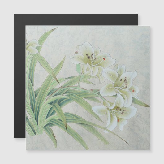White Lily Magnetkarte (Vorne/Hinten)