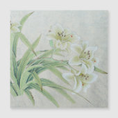 White Lily Magnetkarte (Vorderseite)
