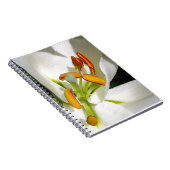 White Lily Notizblock (Rechte Seite)