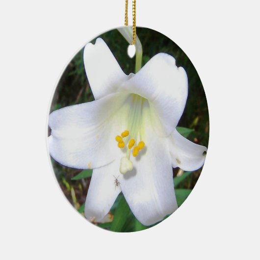 White Lily Ornament (Rechts)