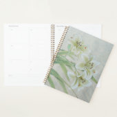 White Lily Planer (Anzeige)