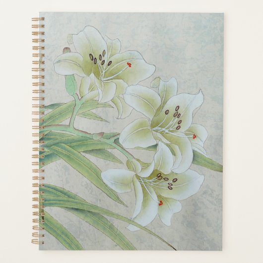 White Lily Planer (Vorderseite)