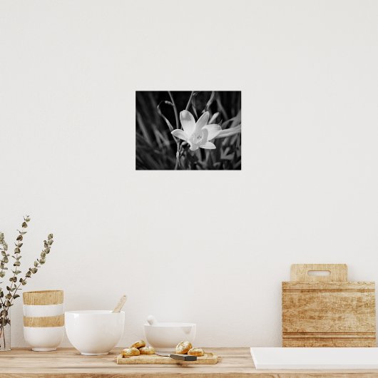 White Lily Poster (Küche)