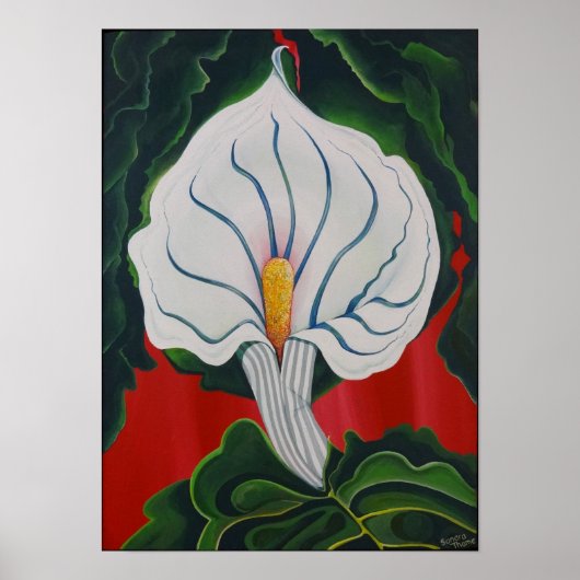 White Lily Poster (Vorne)