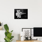 White Lily Poster (Heimbüro)