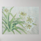 White Lily Poster (Vorne)