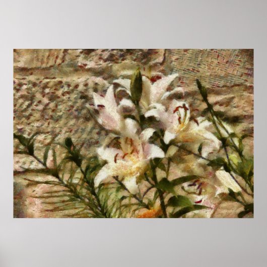 White Lily Poster (Vorne)