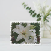 White Lily Postkarte (Stehend Vorderseite)