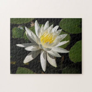 White Lily Puzzle