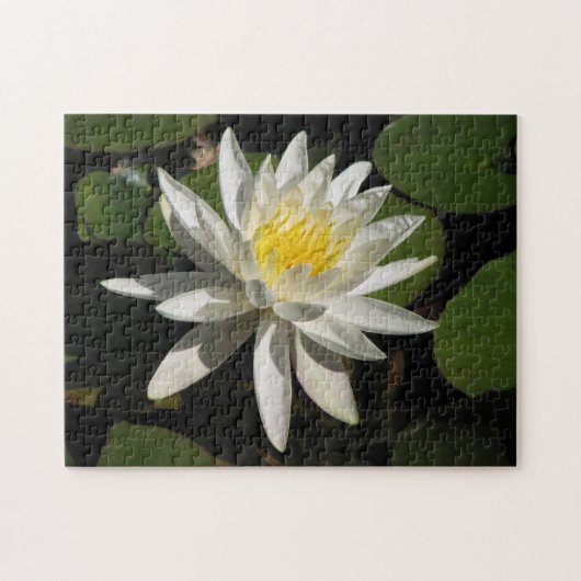 White Lily Puzzle (Horizontal)