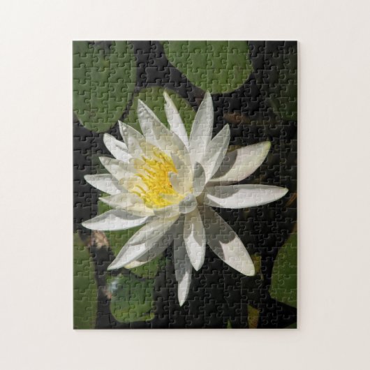 White Lily Puzzle (Vertikal)