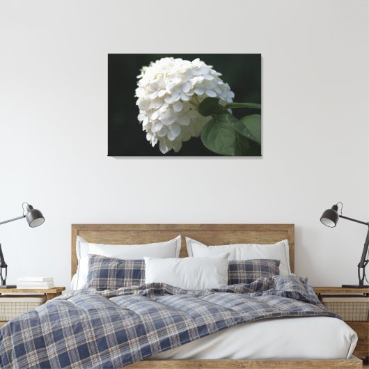White Limon Hydrangea Blume Canvas Print Leinwanddruck (Insitu (Schlafzimmer))