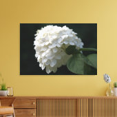 White Limon Hydrangea Blume Canvas Print Leinwanddruck (Insitu (Wohnzimmer))