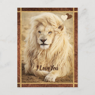 White Lion Foto I Liebe Postkarte