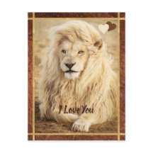 White Lion Foto I Liebe