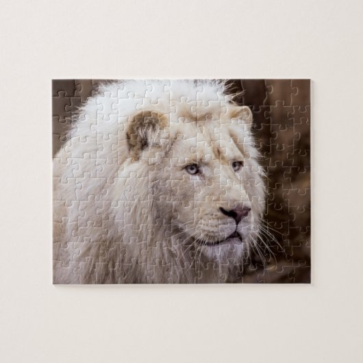 White Lion Photo Puzzle (Horizontal)