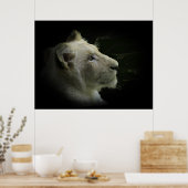 White Lion Wildlife Lion-Lover Poster (Küche)