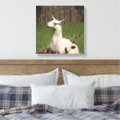 White Llama Leinwanddruck (Insitu (Schlafzimmer))