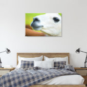 White Llama Leinwanddruck (Insitu (Schlafzimmer))