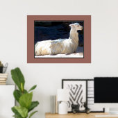 White Llama Poster (Heimbüro)