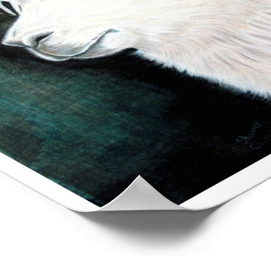 White Llama Poster (Ecke)