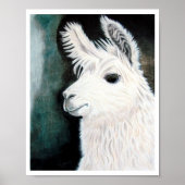 White Llama Poster (Vorne)