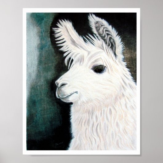 White Llama Poster (Vorne)