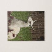 White Llama Puzzle (Horizontal)