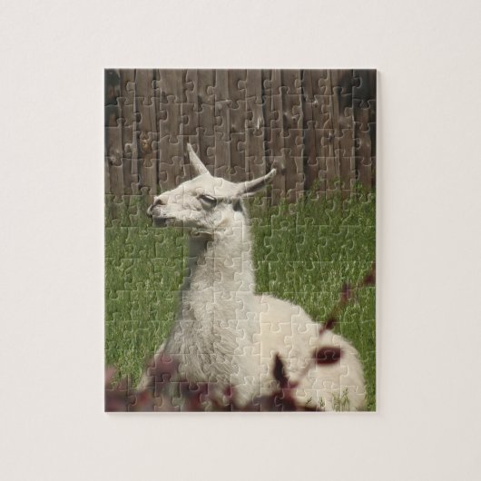 White Llama Puzzle (Vertikal)