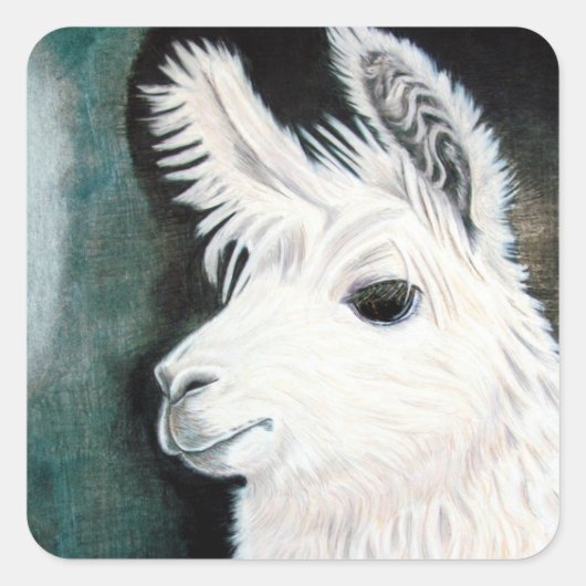 White Llama Quadratischer Aufkleber (Vorderseite)