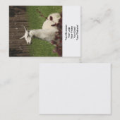 White Llama Visitenkarte (Vorne/Hinten)