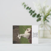 White Llama Visitenkarte (Stehend Vorderseite)