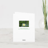 WHITE LOTUS BLOSSOM KARTE (Rückseite)