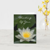 WHITE LOTUS BLOSSOM KARTE (Gelbe Blume)