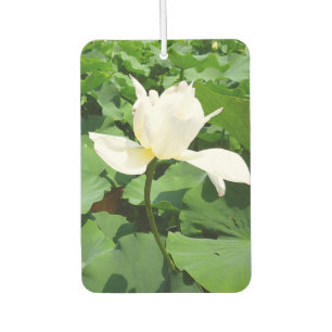 White Lotus Blume Autolufterfrischer