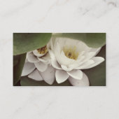 White Lotus Blume, Brust Visitenkarte (Rückseite)