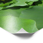 White Lotus Blume Fotodruck (Ecke)