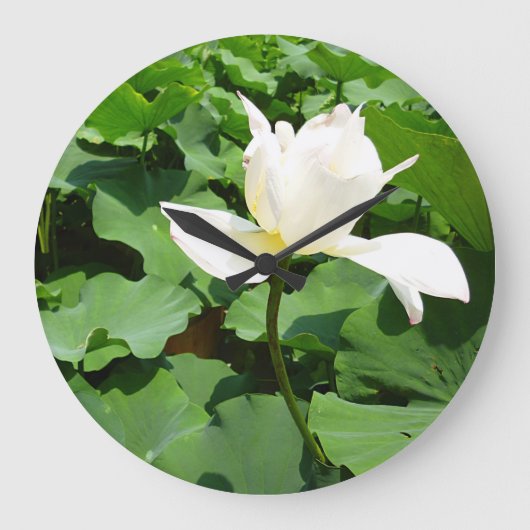 White Lotus Blume Große Wanduhr (Vorderseite)