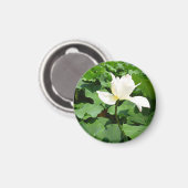 White Lotus Blume Magnet (Vorderseite/Rückseite)