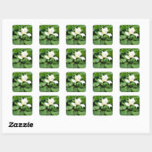 White Lotus Blume Quadratischer Aufkleber (Blatt)
