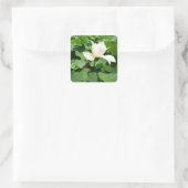 White Lotus Blume Quadratischer Aufkleber (Tasche)