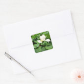 White Lotus Blume Quadratischer Aufkleber (Umschlag)